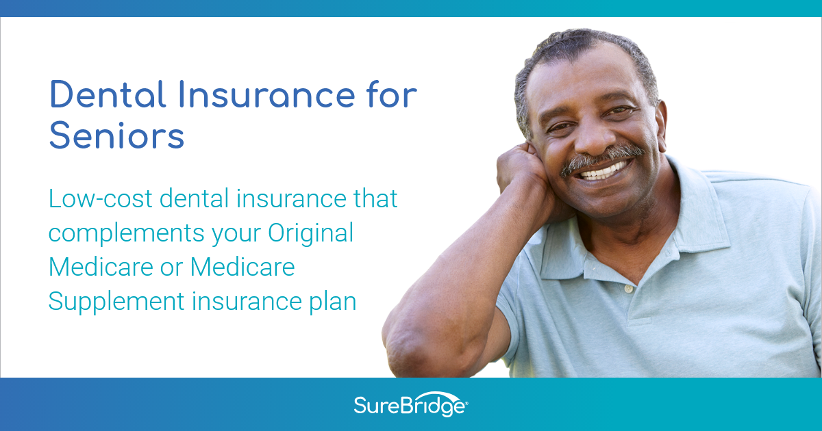 Affordable Dental Insurance For Seniors : 2886642 - close-up of a